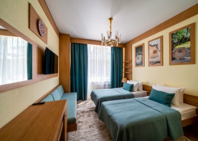 Номер «Делюкс 1-комнатный» в санатории «Дворец нарзанов» в г. Кисловодске - фотография