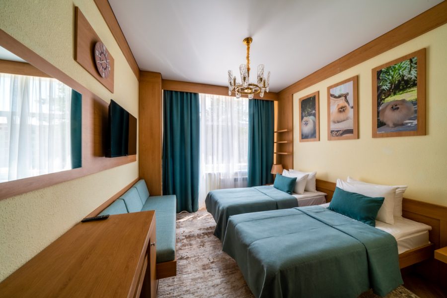 Номер «Делюкс 1-комнатный» в санатории «Дворец нарзанов» в г. Кисловодске - фотография