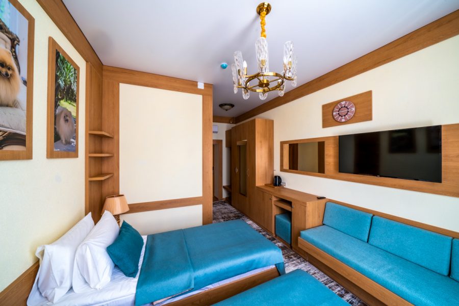 Номер «Делюкс 1-комнатный» в санатории «Дворец нарзанов» в г. Кисловодске - фотография