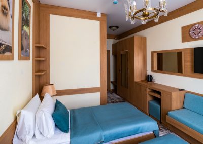 Номер «Делюкс 1-комнатный» в санатории «Дворец нарзанов» в г. Кисловодске - фотография