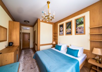 Номер «Люкс 2 комнатный» в санатории «Дворец нарзанов» в г. Кисловодске - фотография