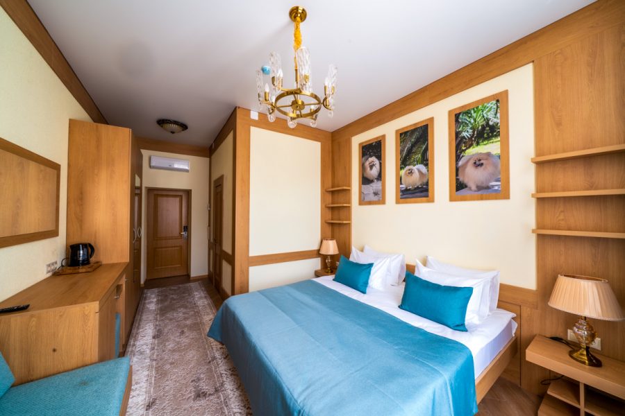 Номер «Люкс 2 комнатный» в санатории «Дворец нарзанов» в г. Кисловодске - фотография