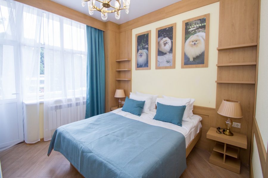 Номер «Делюкс 1 комнатный» в санатории «Дворец нарзанов» в г. Кисловодске - фотография