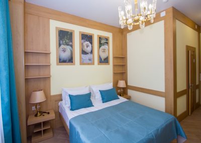 Номер «Делюкс 1 комнатный» в санатории «Дворец нарзанов» в г. Кисловодске - фотография