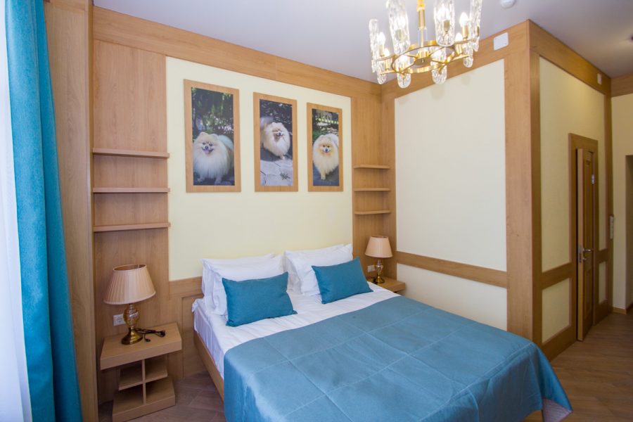 Номер «Делюкс 1 комнатный» в санатории «Дворец нарзанов» в г. Кисловодске - фотография